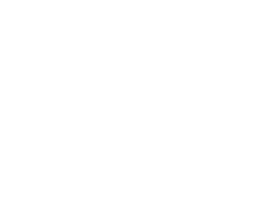 big logo